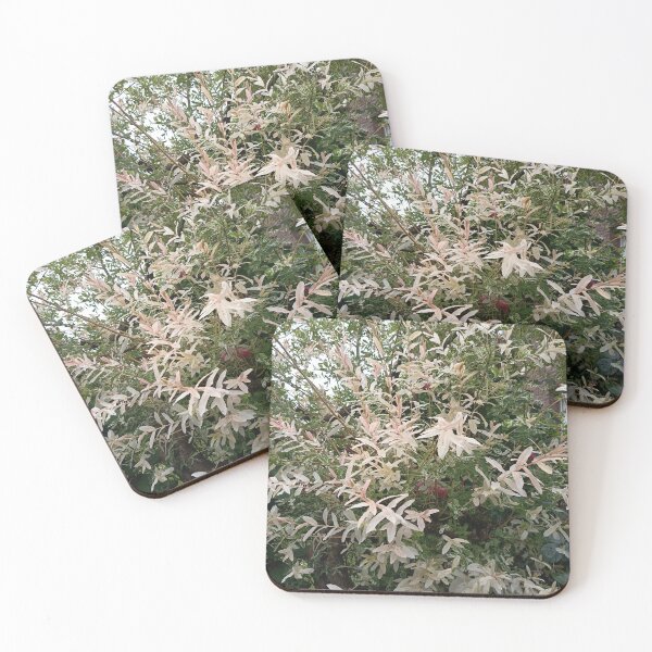 Item preview, Variegated Willow Garden Foliage designed and sold by PhuongVoArt.