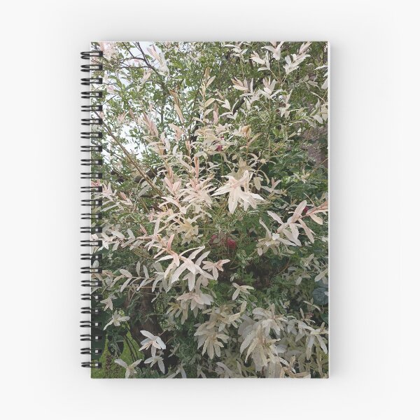 Item preview, Variegated Willow Garden Foliage designed and sold by PhuongVoArt.