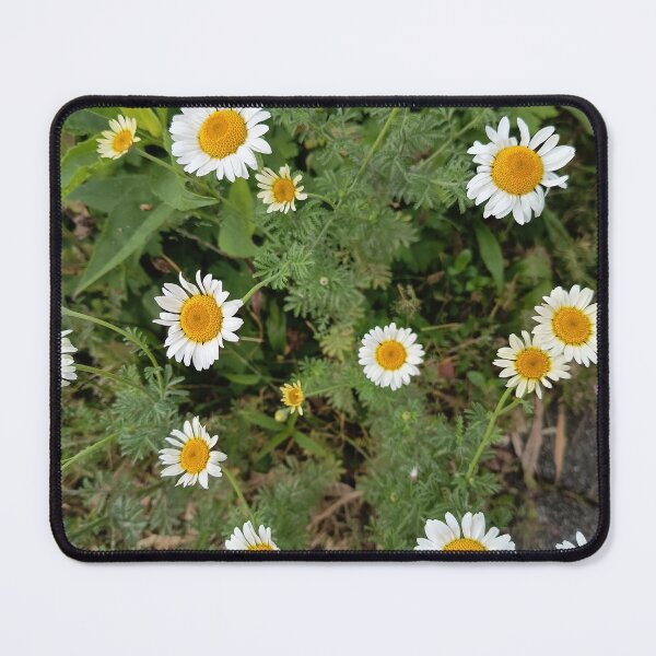 Item preview, Wild Chamomile Daisy Flowers designed and sold by PhuongVoArt.