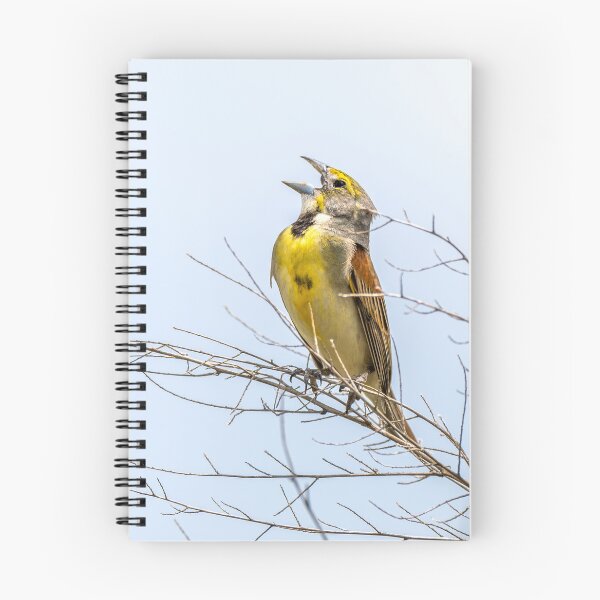 Item preview, The Ever-Singing Dickcissel designed and sold by Debra Martz.