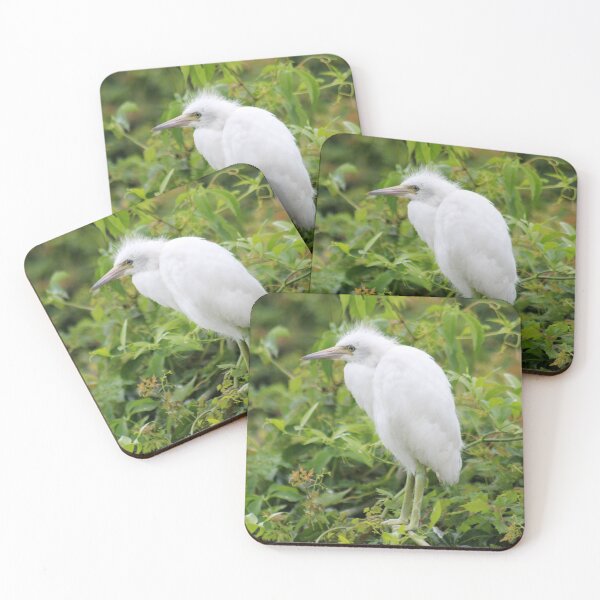 Item preview, Snowy Egret in Lush Foliage designed and sold by Cynthia48.