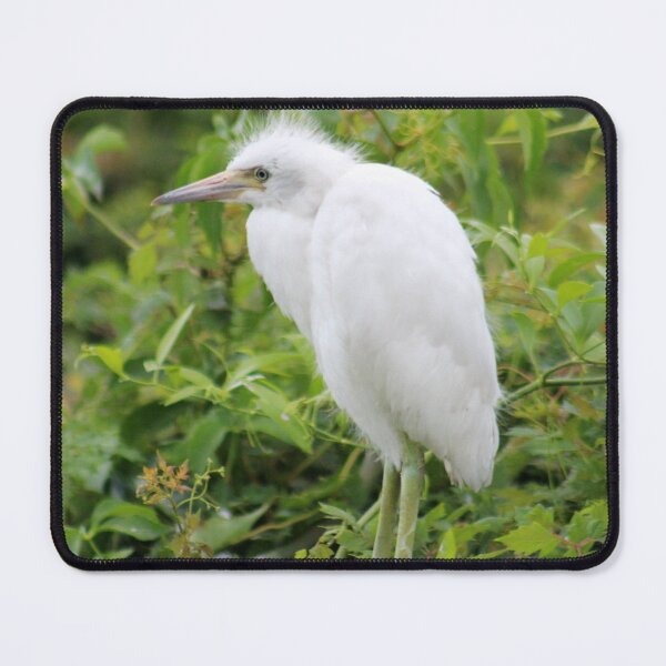 Item preview, Snowy Egret in Lush Foliage designed and sold by Cynthia48.