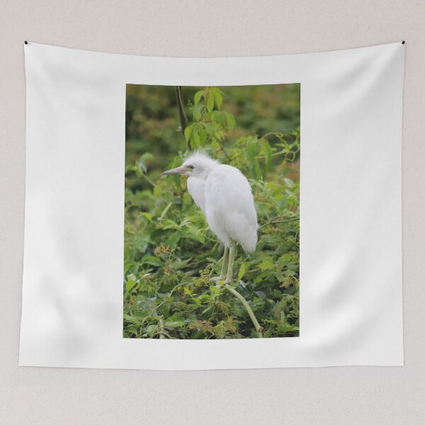 Item preview, Snowy Egret in Lush Foliage designed and sold by Cynthia48.