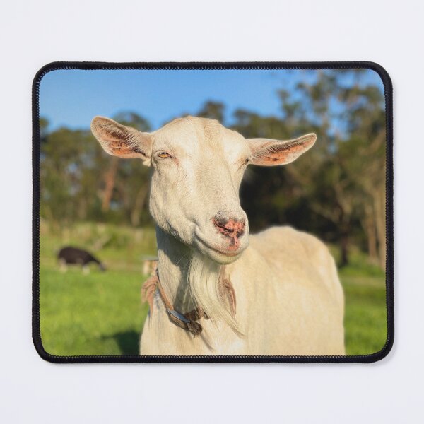 Item preview, Goat Portrait in the sunshine designed and sold by CritterCapers.