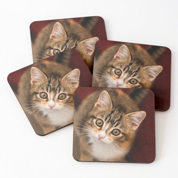 Item preview, Curious Kitten with wide-eyed Gaze designed and sold by Kimberly Palmer.