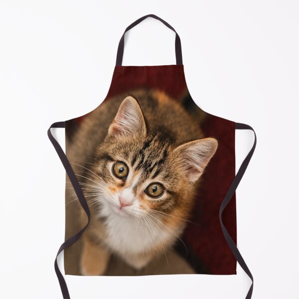 Item preview, Curious Kitten with wide-eyed Gaze designed and sold by Kimberly Palmer.