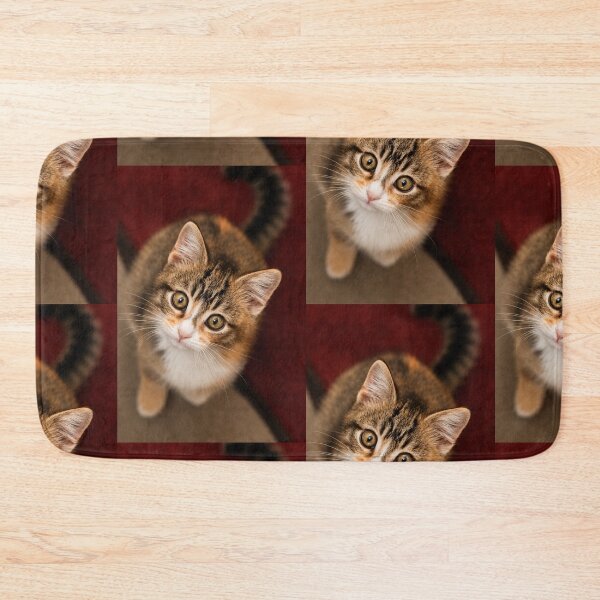 Item preview, Curious Kitten with wide-eyed Gaze designed and sold by Kimberly Palmer.