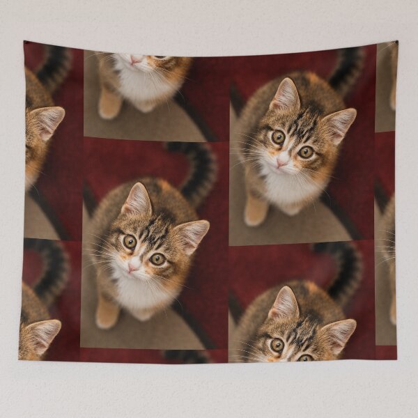 Item preview, Curious Kitten with wide-eyed Gaze designed and sold by Kimberly Palmer.