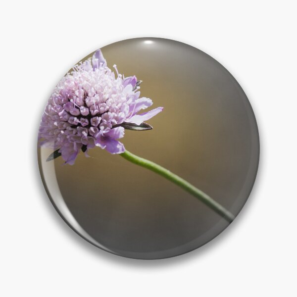 Item preview, Delicate Purple Wildflower Scabious On Curved Stem With Selective Color And Soft Background designed and sold by Nmallia.