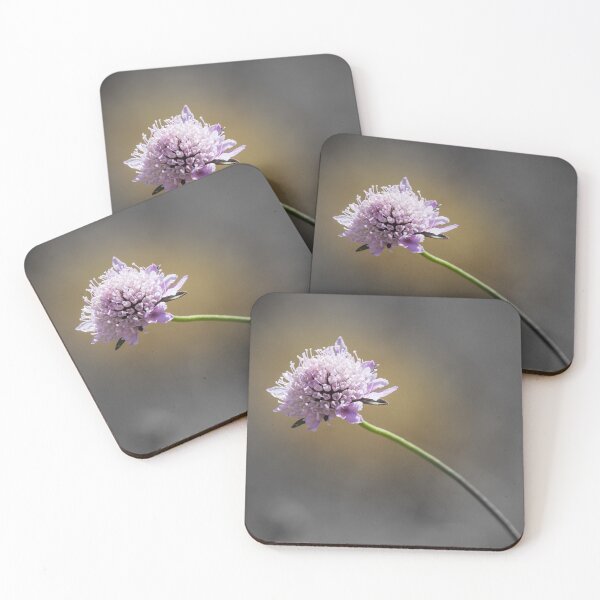 Item preview, Delicate Purple Wildflower Scabious On Curved Stem With Selective Color And Soft Background designed and sold by Nmallia.