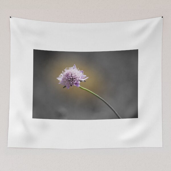 Item preview, Delicate Purple Wildflower Scabious On Curved Stem With Selective Color And Soft Background designed and sold by Nmallia.