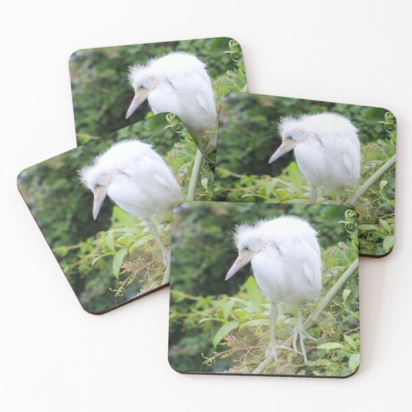 Item preview, Juvenile Egret Perched on Branch designed and sold by Cynthia48.