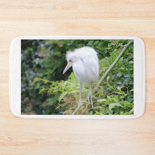 Item preview, Juvenile Egret Perched on Branch designed and sold by Cynthia48.