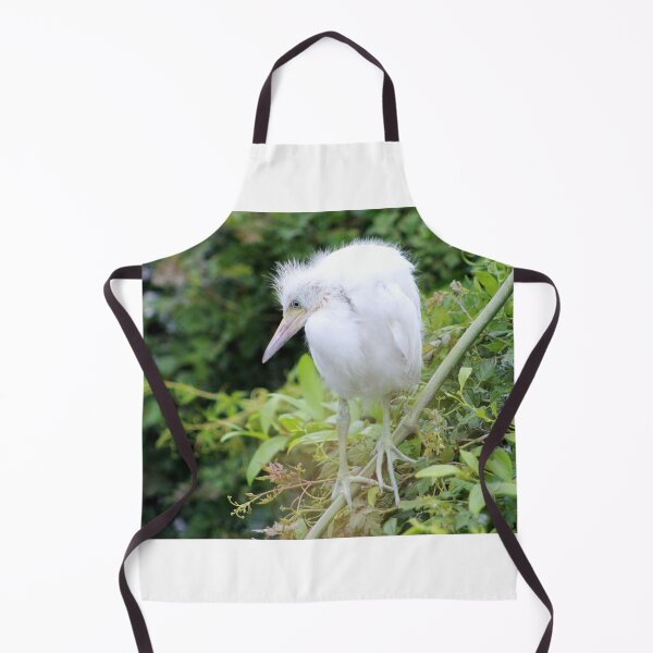 Item preview, Juvenile Egret Perched on Branch designed and sold by Cynthia48.