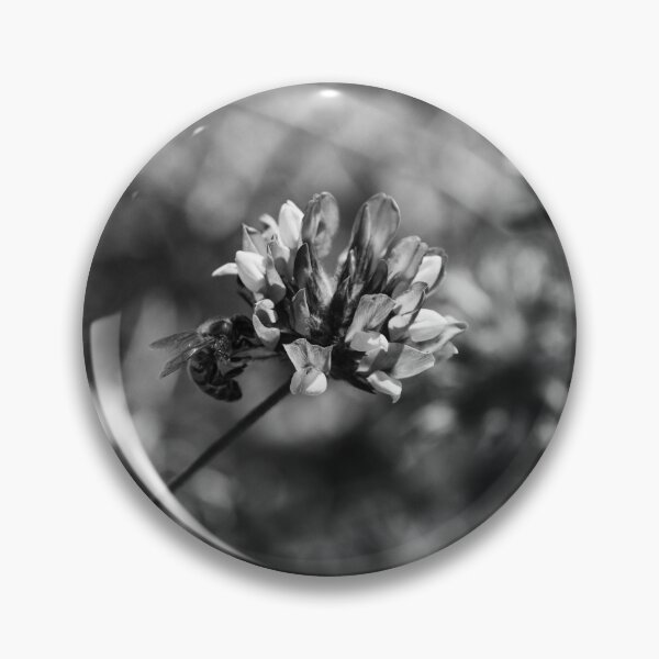 Item preview, Monochrome Close-Up of Bee Pollinating Clover Flower in Wild Meadow With Soft Bokeh designed and sold by Nmallia.