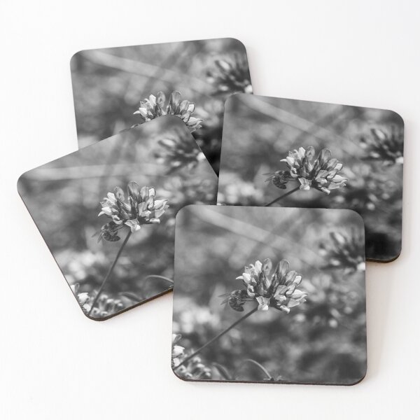 Item preview, Monochrome Close-Up of Bee Pollinating Clover Flower in Wild Meadow With Soft Bokeh designed and sold by Nmallia.