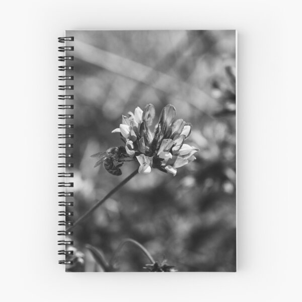 Item preview, Monochrome Close-Up of Bee Pollinating Clover Flower in Wild Meadow With Soft Bokeh designed and sold by Nmallia.