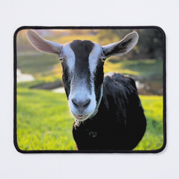 Item preview, Portrait of Alpine goat designed and sold by CritterCapers.