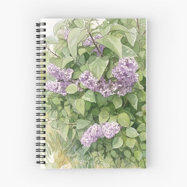 Aperçu de l'œuvre Lilas printaniers en fleurs | Illustration botanique à l'encre et à l'aquarelle créée et vendue par Debbie Schulte.