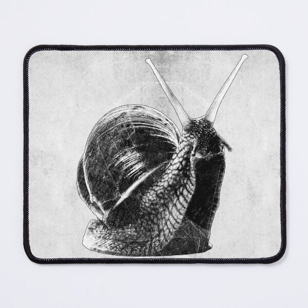 Item preview, Roman Snail Dark Natural History Macro Portrait Shell Art designed and sold by Ghoul Enterprises.