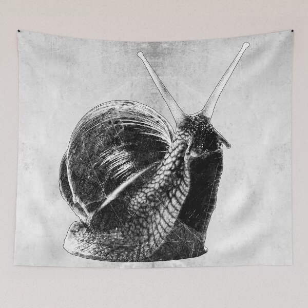 Item preview, Roman Snail Dark Natural History Macro Portrait Shell Art designed and sold by Ghoul Enterprises.