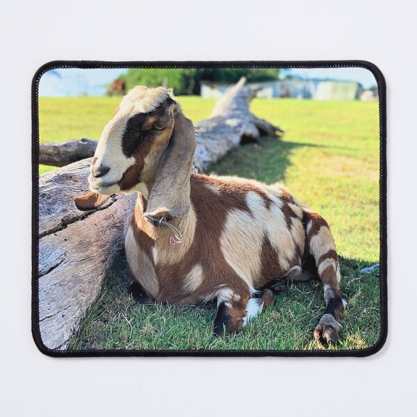 Item preview, Nubian Goat Portrait designed and sold by CritterCapers.