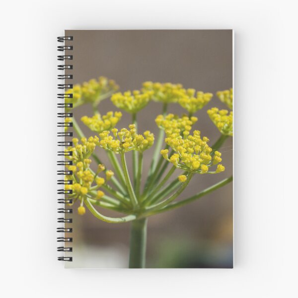 Item preview, Close-Up Yellow Flower Cluster On Umbel Stem With Delicate Blooms And Shallow Depth Of Field designed and sold by Nmallia.