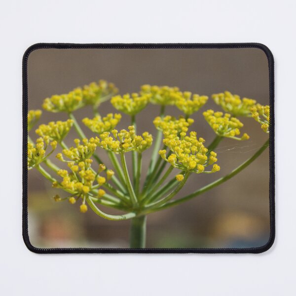 Item preview, Close-Up Yellow Flower Cluster On Umbel Stem With Delicate Blooms And Shallow Depth Of Field designed and sold by Nmallia.