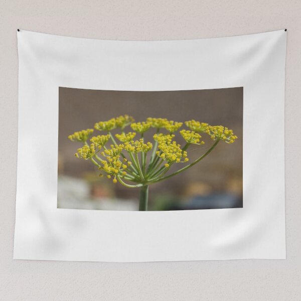 Item preview, Close-Up Yellow Flower Cluster On Umbel Stem With Delicate Blooms And Shallow Depth Of Field designed and sold by Nmallia.