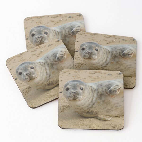 Item preview, Grey Seal Pup designed and sold by Lawrence Woolston.