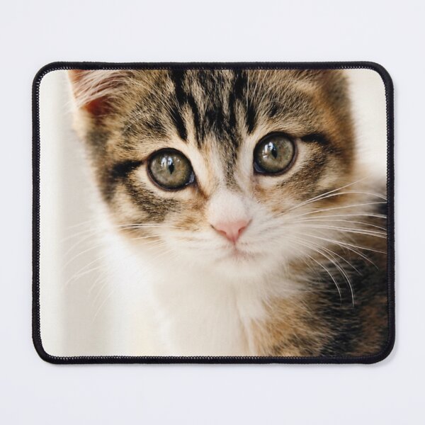 Item preview, Curious Kitten Portrait designed and sold by Kimberly Palmer.
