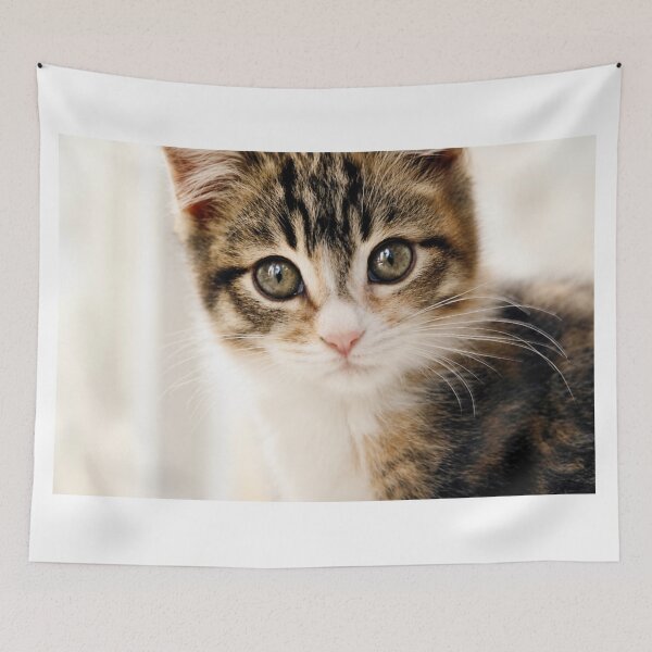 Item preview, Curious Kitten Portrait designed and sold by Kimberly Palmer.