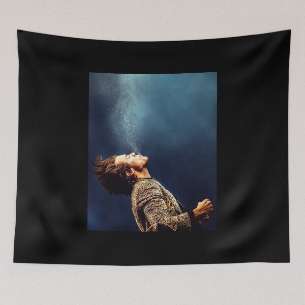 Item preview, Harry HS Tour Fan Art designed and sold by lesqiana.