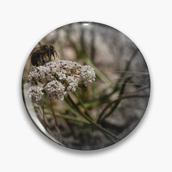 Item preview, Honey Bee Pollinating White Wildflower Among Grasses With Selective Color Shallow Depth Of Field designed and sold by Nmallia.