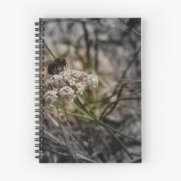 Item preview, Honey Bee Pollinating White Wildflower Among Grasses With Selective Color Shallow Depth Of Field designed and sold by Nmallia.