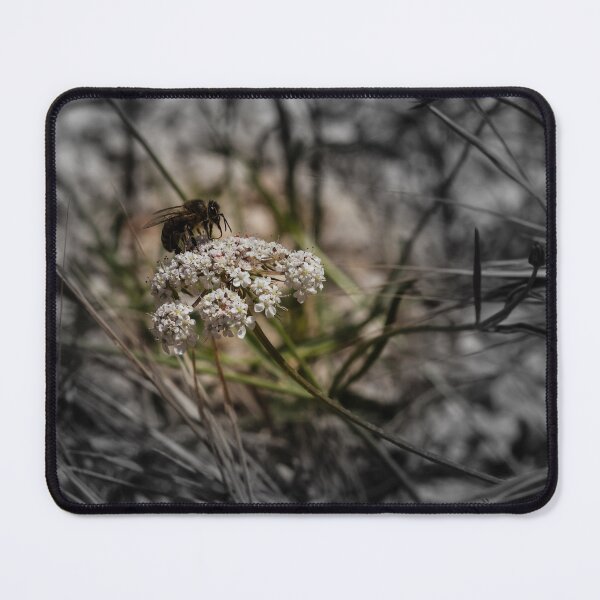 Item preview, Honey Bee Pollinating White Wildflower Among Grasses With Selective Color Shallow Depth Of Field designed and sold by Nmallia.