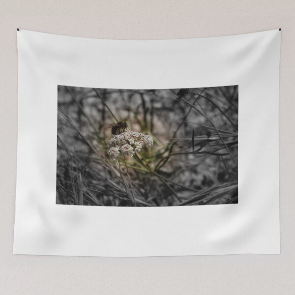 Item preview, Honey Bee Pollinating White Wildflower Among Grasses With Selective Color Shallow Depth Of Field designed and sold by Nmallia.