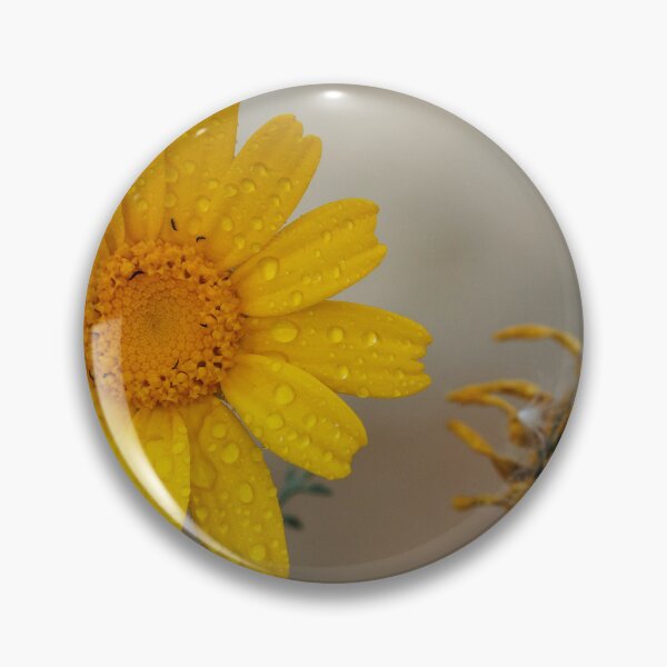 Item preview, Yellow Daisy With Water Droplets Close-Up, Macro Flower Beside a Withered Bloom designed and sold by Nmallia.