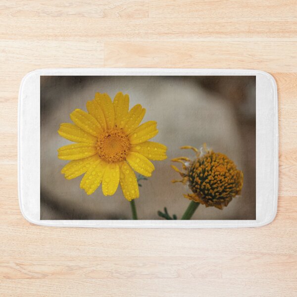 Item preview, Yellow Daisy With Water Droplets Close-Up, Macro Flower Beside a Withered Bloom designed and sold by Nmallia.