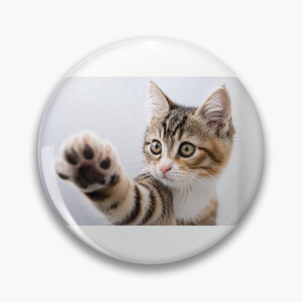 Item preview, Pick Me! – Adorable Kitten Reaching Paw Forward designed and sold by Kimberly Palmer.