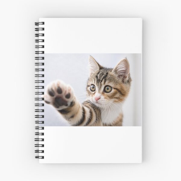 Item preview, Pick Me! – Adorable Kitten Reaching Paw Forward designed and sold by Kimberly Palmer.