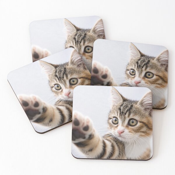Item preview, Pick Me! – Adorable Kitten Reaching Paw Forward designed and sold by Kimberly Palmer.