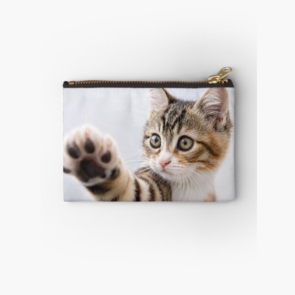 Item preview, Pick Me! – Adorable Kitten Reaching Paw Forward designed and sold by Kimberly Palmer.