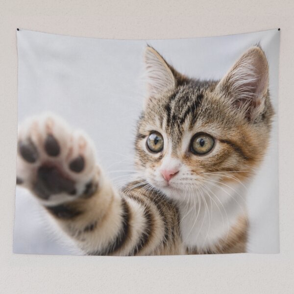 Item preview, Pick Me! – Adorable Kitten Reaching Paw Forward designed and sold by Kimberly Palmer.