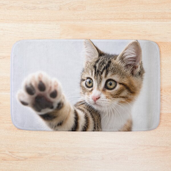 Item preview, Pick Me! – Adorable Kitten Reaching Paw Forward designed and sold by Kimberly Palmer.
