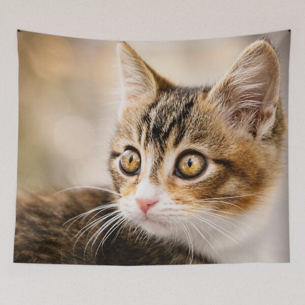 Item preview, Curious Kitten Gaze designed and sold by Kimberly Palmer.