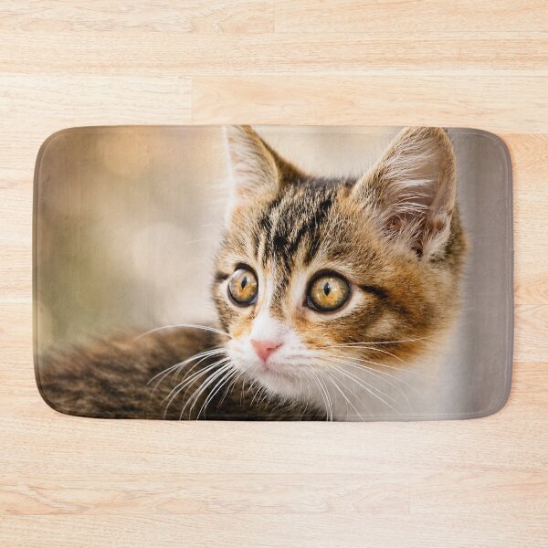 Item preview, Curious Kitten Gaze designed and sold by Kimberly Palmer.