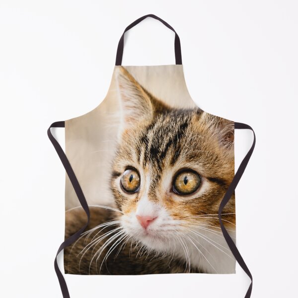 Item preview, Curious Kitten Gaze designed and sold by Kimberly Palmer.