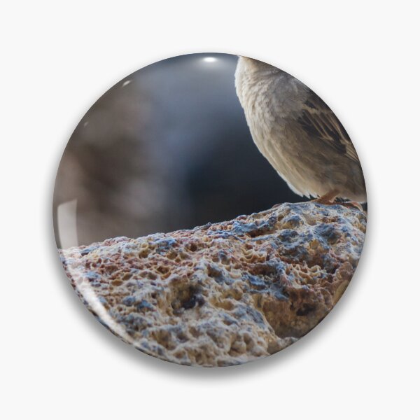 Item preview, Sparrow Perched on Rocky Ledge Overlooking Blurred Natural Background, Small Brown Songbird Close-Up designed and sold by Nmallia.