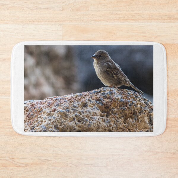Item preview, Sparrow Perched on Rocky Ledge Overlooking Blurred Natural Background, Small Brown Songbird Close-Up designed and sold by Nmallia.